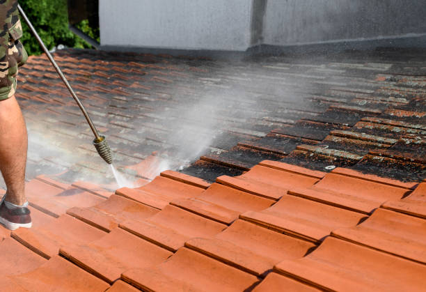 Best Sidewalk Pressure Washing  in Elm Grove, WI