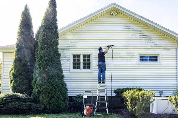 Best Exterior Home Cleaning  in Elm Grove, WI