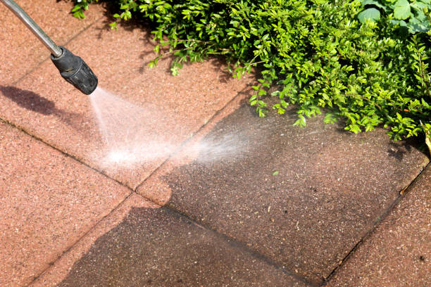 Best House Pressure Washing  in Elm Grove, WI